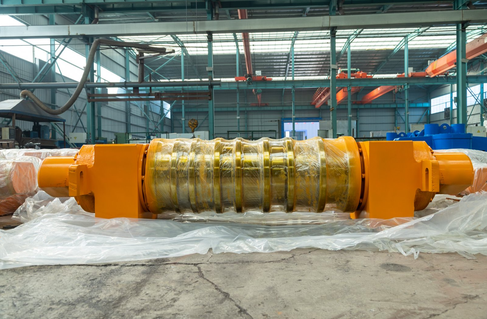 Roll - Image 9